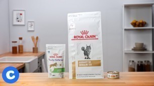 'Royal Canin Urinary SO Cat Food | Chewy'