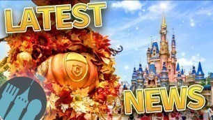 'Latest Disney News: Terminal C is Open at MCO, Pooh & Friends are BACK at Crystal Palace & MORE!'