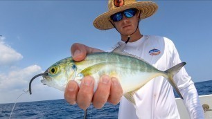 'Using BIG BAITS to Catch Dinner! Catch Clean Cook (Amberjack)'