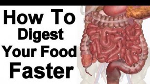 'How To Digest Your Food Faster | खाना हजम करने के जबरदस्त उपाये'