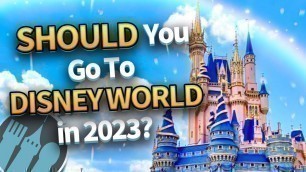 'Should You Go to Disney World in 2023?'