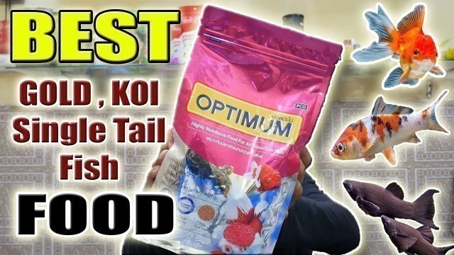 'Optimum Food For Gold Fish Review'