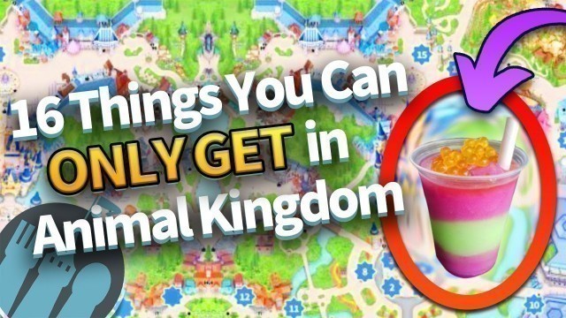 '16 Things You Can ONLY Get in Disney’s Animal Kingdom'