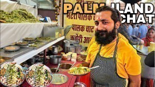 'Palm island Designer दही Bhalla of Jodhpur । street food India'