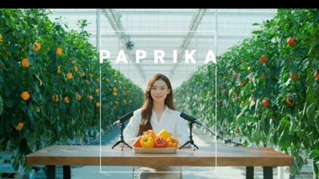 'K-FOOD PAPRIKA | The Taste of Wonder \'K-FOOD\' | ASMR | KOREAN FOOD'