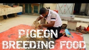 'Best breeding food for pigeon | কবুতরের খাবার তালিকা'