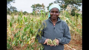 'Food For Life - Ecological Farming in Kenya'