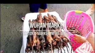 'Wuhan Market China Extoxic Market in the World'