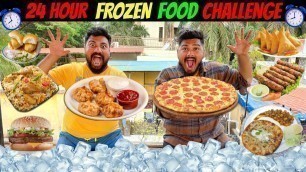 '24 HOUR FROZEN FOOD CHALLENGE | EATING ONLY FROZEN FOOD for FULL DAY (Ep-563)'