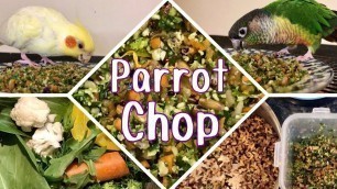 'HOW I MAKE MY BIRDS’ CHOP | The healthiest food for parrots'