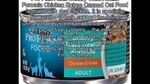 'Purina Pro Plan Focus Urinary Tract Health Formula Chicken Entree In Gravy Adult Wet Cat Food - (24'