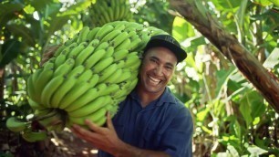 'Picking Australian fruit and veg first. That’s today’s fresh food people.'