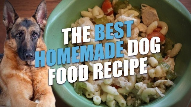 'The Best Homemade Dog Food Recipe (Healthy and Cheap)'