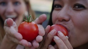 'Money Saving Life Hacks | How to Get Cheap Produce'