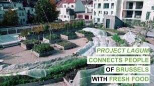 'The Lagum Project connects people of Brussels with fresh food.'