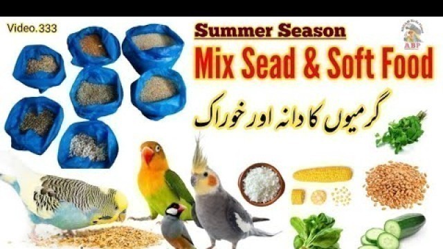 'Summer Season Mix Seed & Soft Food for Australian Parrots & Love birds in Urdu by |Arham|, Video.333'