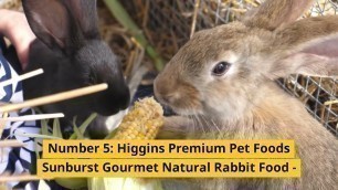 'Top 5 best Dry Food For Rabbit - 10BestSuggest'