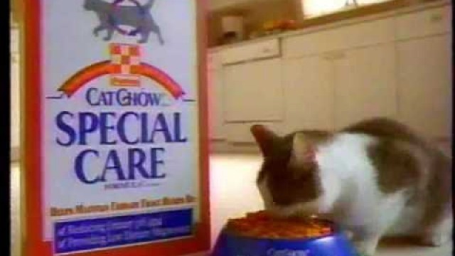 'Purina Cat Chow Special Care Urinary Tract Health ad, 1990s'