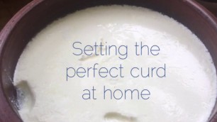 'DIY : The art of setting perfect curd at home and Kitchen Hacks'