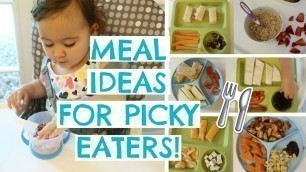 'TODDLER MEALS FOR PICKY EATERS | TODDLER MEAL IDEAS | Hayley Paige'