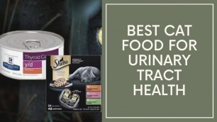 'Best Cat Food for Urinary Tract Health'