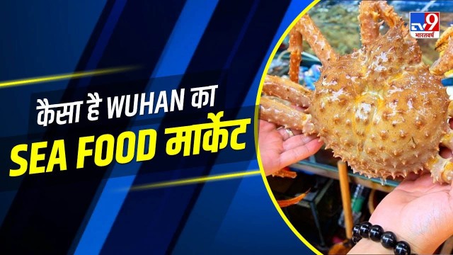 'Coronavirus : कैसा है Wuhan ka Sea Food Market ?'