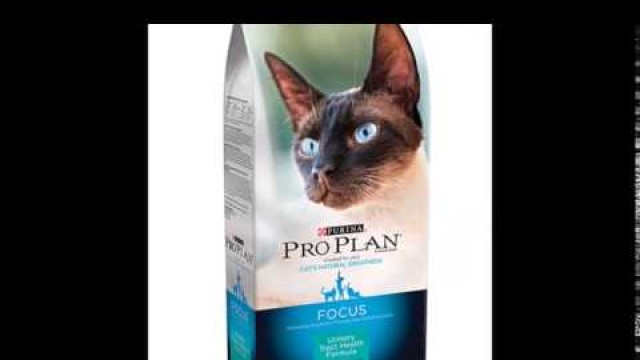 'best cat food urinary tract infection'
