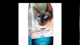'best cat food urinary tract infection'