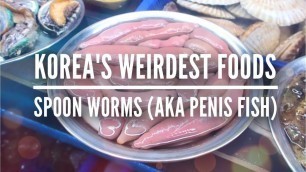 'WEIRD KOREAN STREET FOOD • TRYING OUT SPOON WORMS (AKA PENIS FISH) & LIVE OCTOPUS'