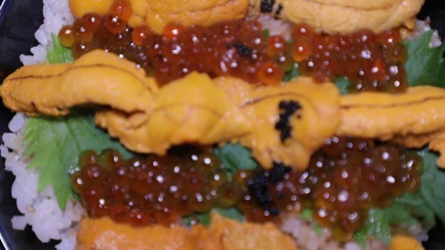 '【66S FUSION】Sushi Bar/Japenese Food/Sashimi/Omakase/New York Restaurant/Heart of Brooklyn/最高の料理'