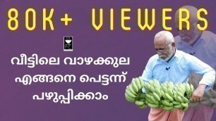 'വീട്ടിലെ വാഴക്കുല എങ്ങനെ പെട്ടെന്ന് പഴുപ്പിക്കാം ? | Home Food Channel | HFC'