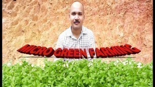 'MICRO GREEN FARMING | LOCKDOWN SPECIAL| KERALA FOOD CHANNEL'