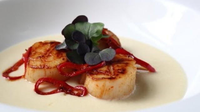 'Seared Scallops on Fresh Corn Cream – Easy Summer Scallop Recipe'