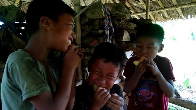 'Cucumber eating competition || Food challenge'