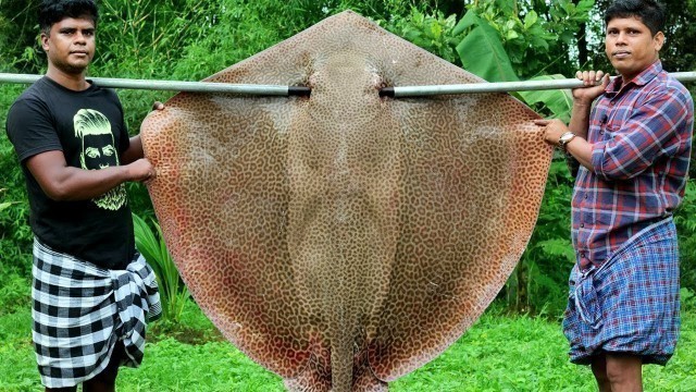 '75 kg GIANT STINGRAY FISH COOKING | Stingray Fish Cutting and Cooking Skill | Thirukkai Kulambu'