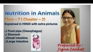 'Nutrition in Animals(Class 7 Chapter 2)part-5 - food pipe ,stomach'