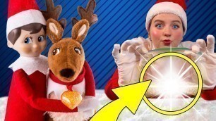 'Elf on the Shelf Magic Reindeer Food | Real elf caught talking'