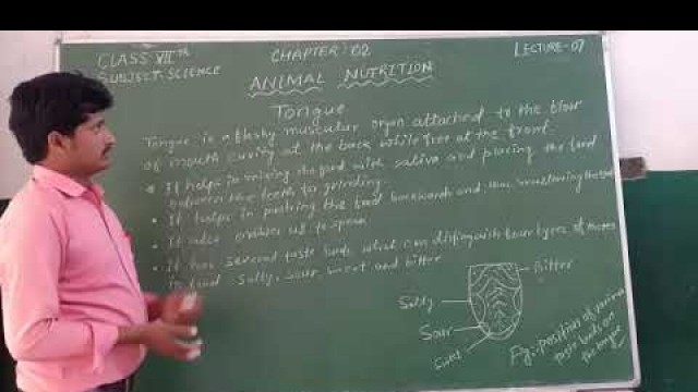 'Lecture_7_Class 7 ( Science Chap-2 )'
