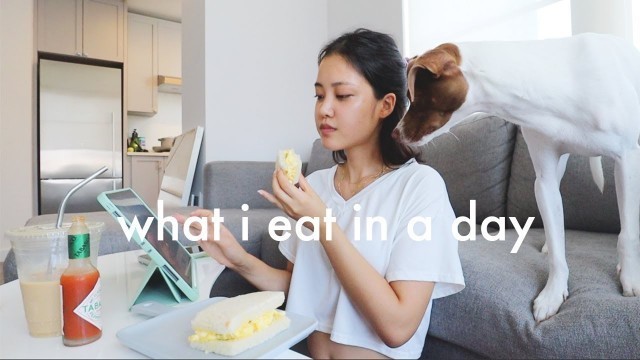 'My Food Diaries | What I Eat in a Day!'