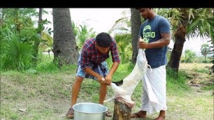 'FULL GOAT CURRY - Mutton Curry Recipe - Cooking skill - Village Food Channel'