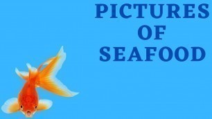 'Pictures of Seafood'