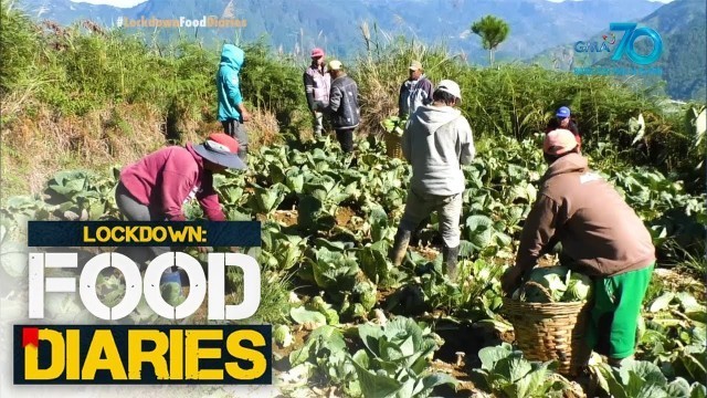 'Lockdown Food Diaries: Ilang magsasaka, lubhang apektado ng COVID-19 pandemic!'