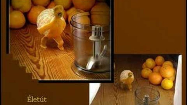 'Crazy food art and creative photos: Balla Tamas'