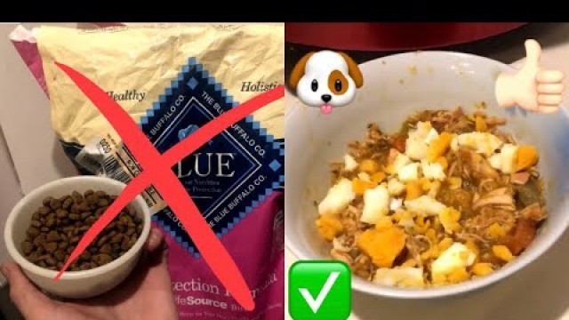 HOW TO COOK DOG FOOD AT HOME & WHY - DIY HOMEMADE HEALTHY DOG FOOD Crockpot Recipe & Cooking tips