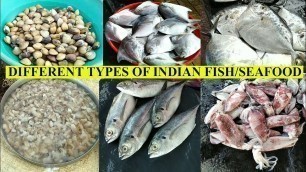 'Fish | Know different types of Indian Fish and Seafood | Karwar Fish Market | Fish Names in English'