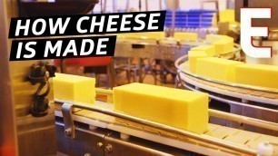 'How Cheddar Cheese Is Made In a Factory — The Process'