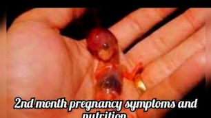 '#pregnancysymptoms# pregnancy symptoms/ 2nd month nutrition in tamil /pregnancy series #07'