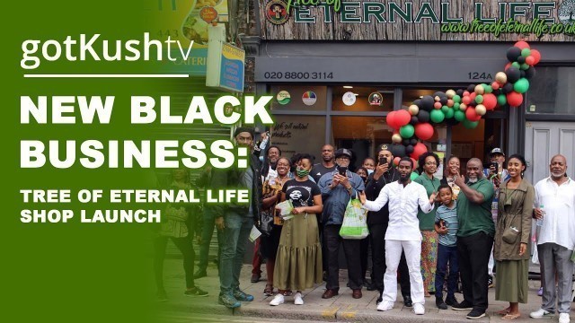 Tree of Eternal Life Shop Launch - Africa and Caribbean holistic health store - NEW BLACK BUSINESS