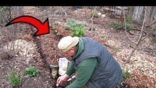 'How To Grow Pounds Of Extra Food In Your Garden Pathways!'