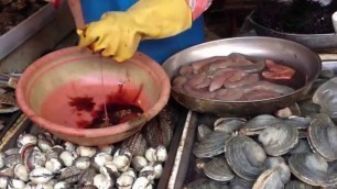 'Prepping Hǎi Cháng (Penis Fish)'